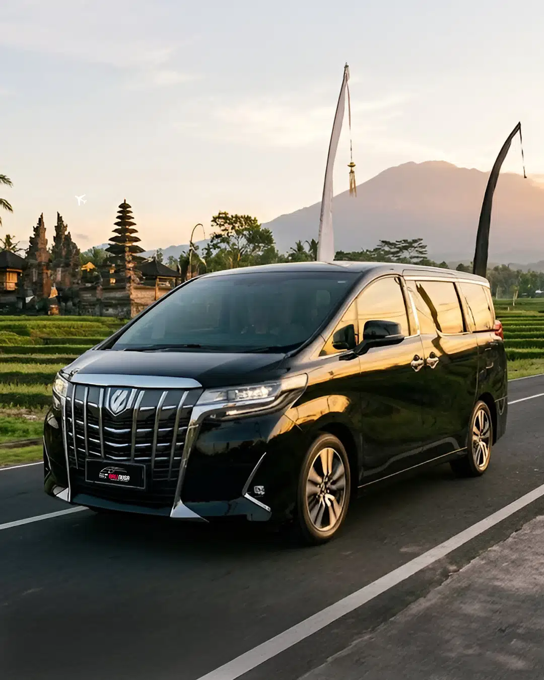 Bali Car Rental with Private Driver - Professional Service