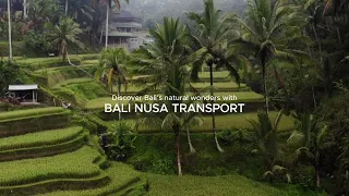 Mollon Bali Trans - Transport Service Video